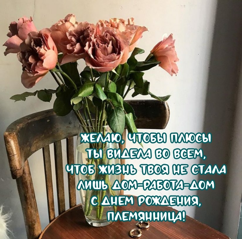 С днем рождения, племянница! Чтобы плюсы ты видела во всем