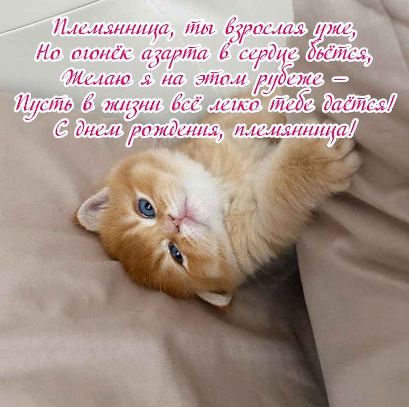 С днем рождения, племянница! Племянница, ты взрослая уже