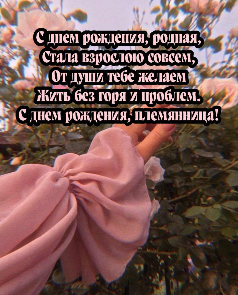 Жить без горя и проблем. С днем рождения, племянница!