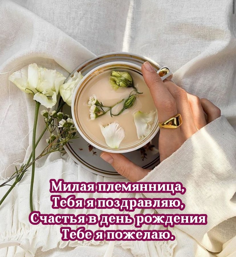 Милая племянница, счастья в день рождения тебе я пожелаю.