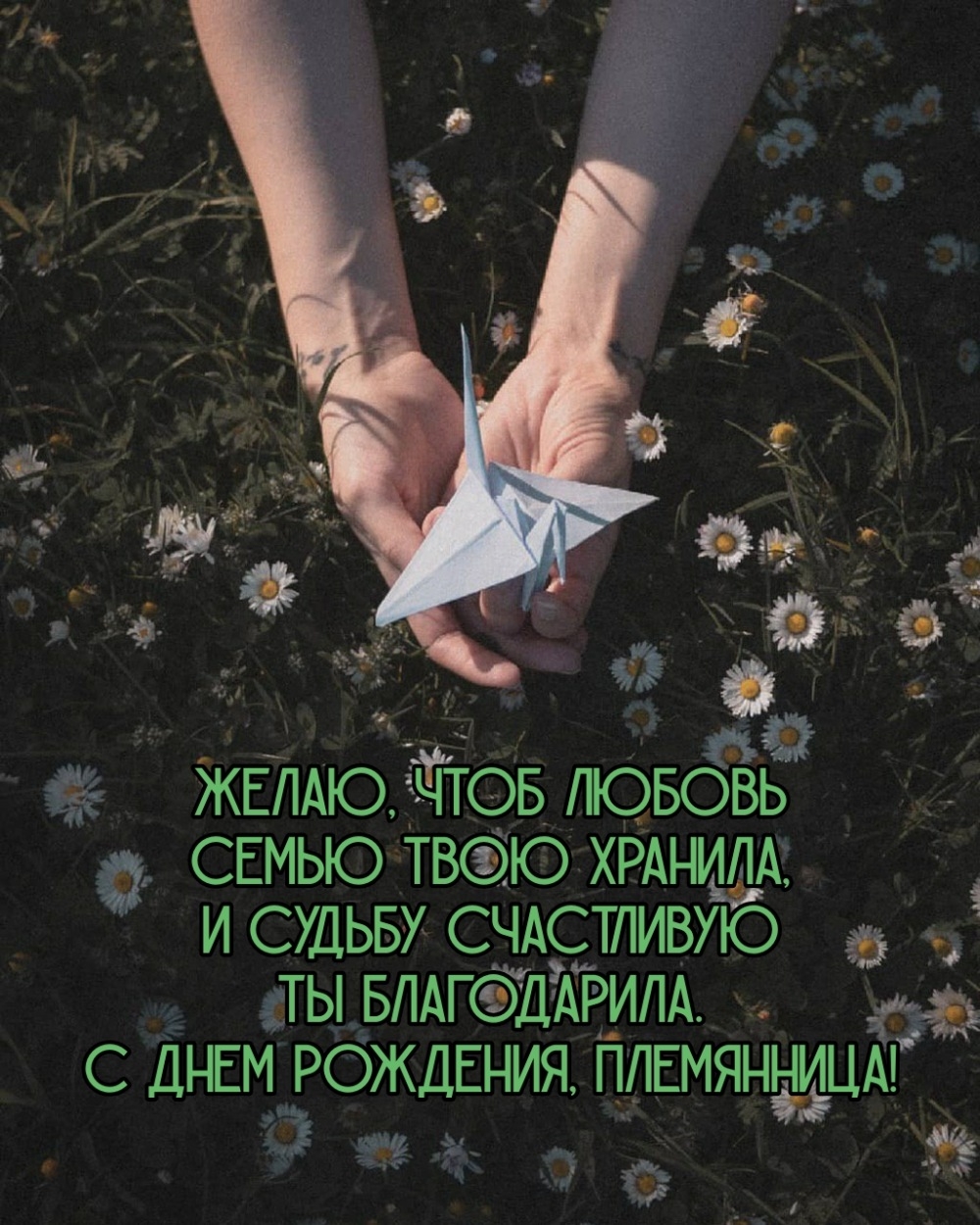 С днем рождения, племянница! Чтоб любовь семью твою хранила