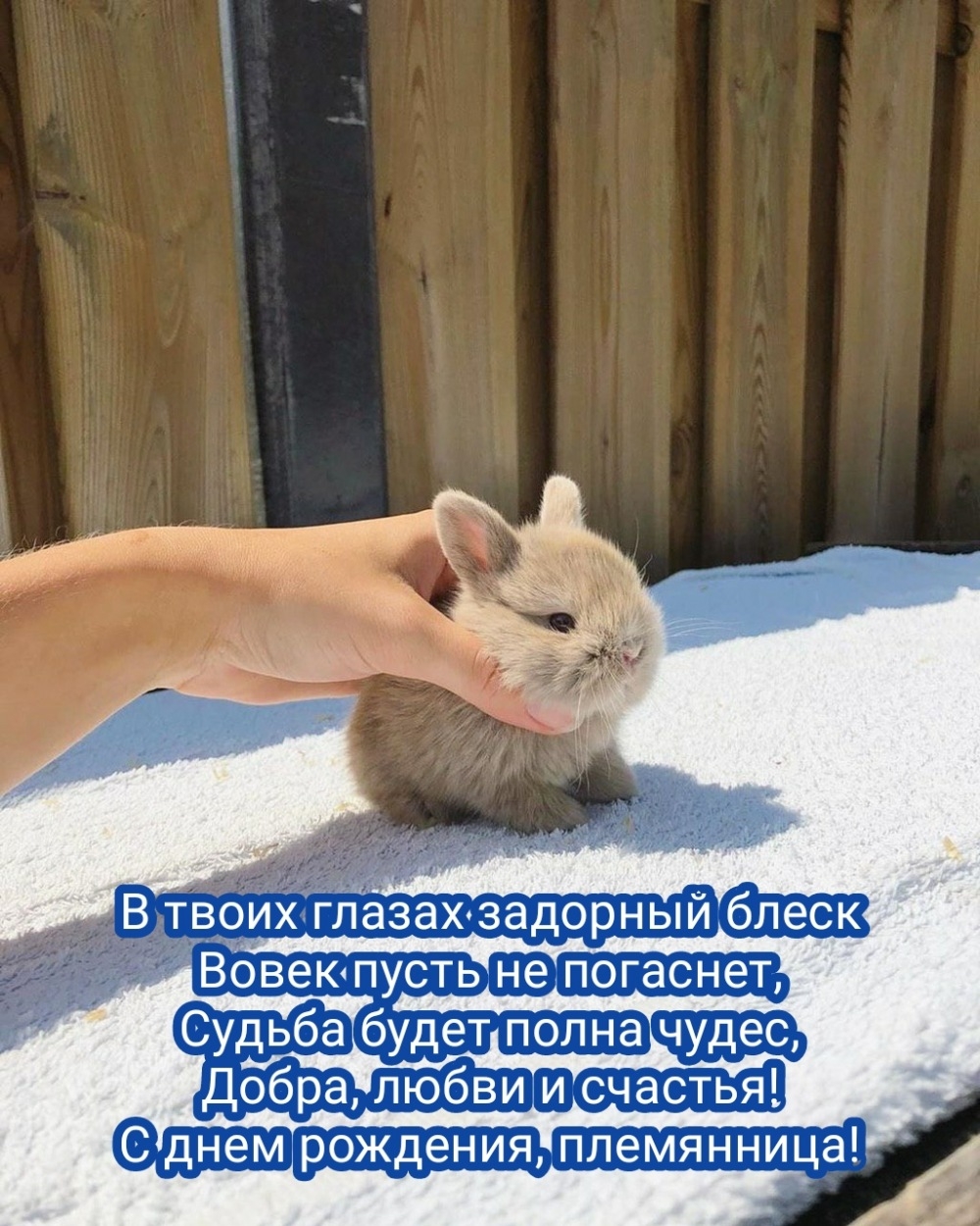 Добра, любви и счастья! С днем рождения, племянница!