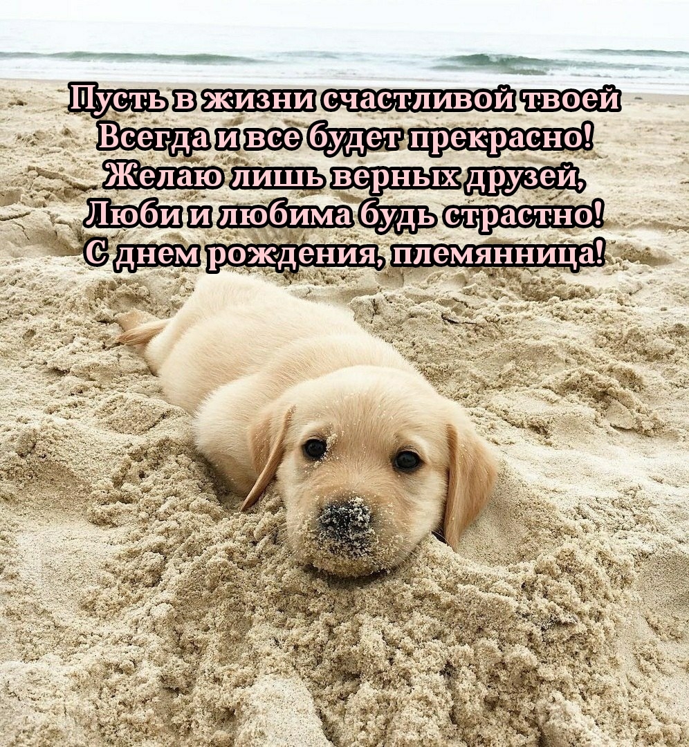 Люби и любима будь страстно! С днем рождения, племянница!