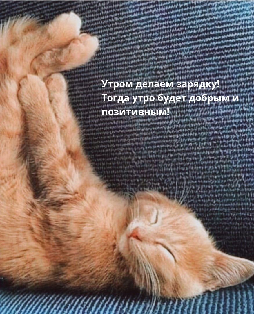 Утром делаем зарядку! Тогда утро будет добрым и позитивным! 