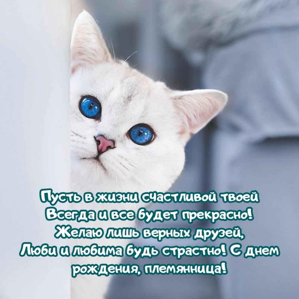 С днем рождения, племянница! Желаю лишь верных друзей