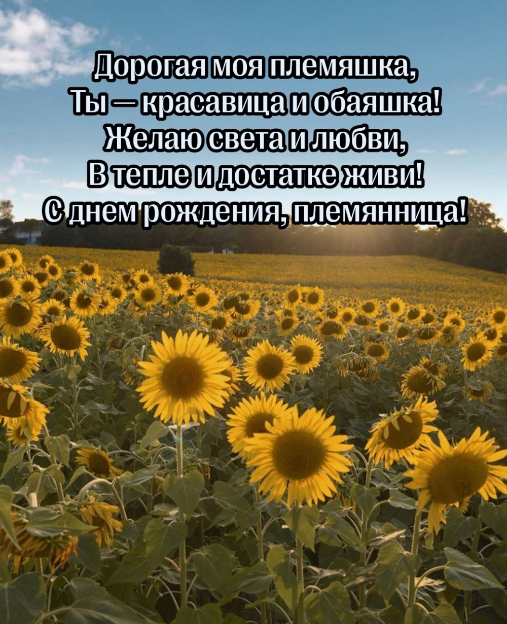 Дорогая моя племяшка, ты — красавица и обаяшка!