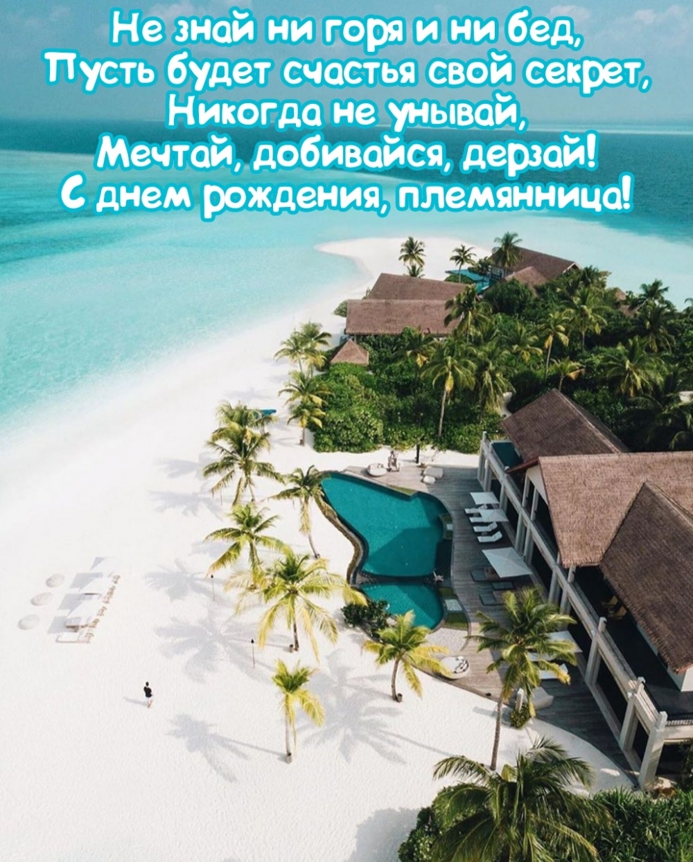 Мечтай, добивайся, дерзай! С днем рождения, племянница!