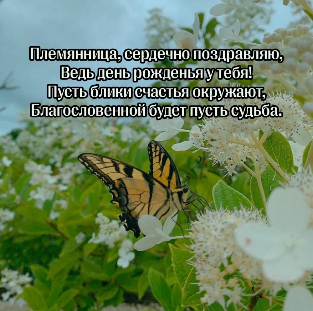 Племянница, сердечно поздравляю, ведь день рожденья у тебя!