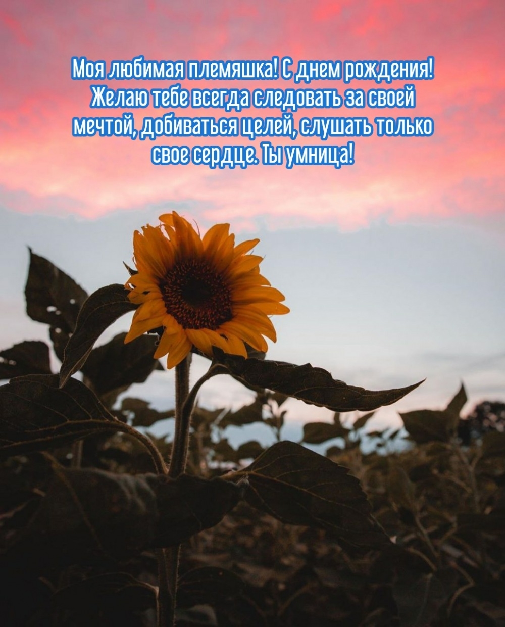 С днем рождения! Желаю тебе всегда следовать за своей мечтой