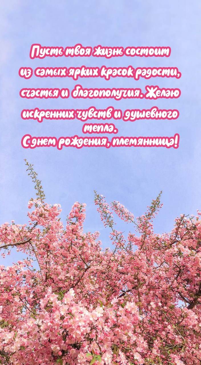 Искренних чувств и душевного тепла. С днем рождения, племянница!