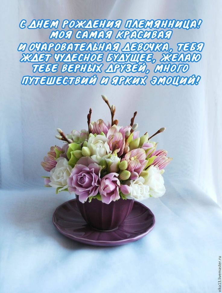 С днем рождения племянница! Моя самая красивая и очаровательная