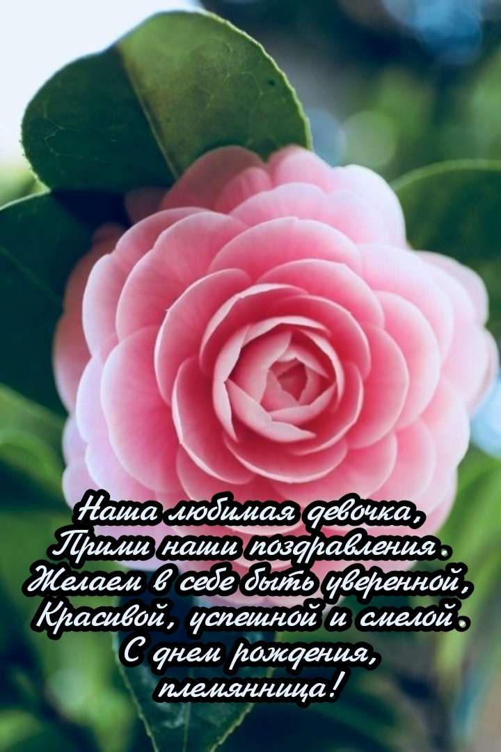 Красивой, успешной и смелой. С днем рождения, племянница!