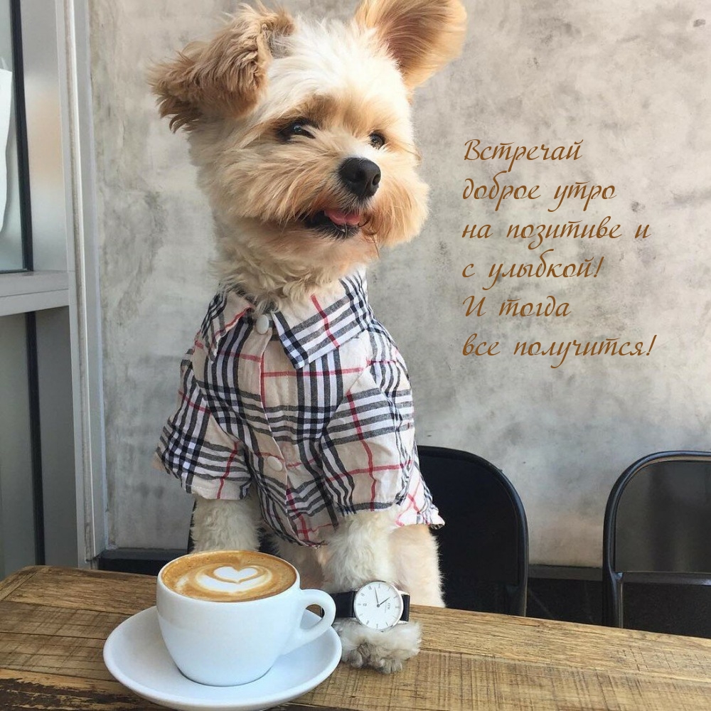 Встречай доброе утро на позитиве и с улыбкой!