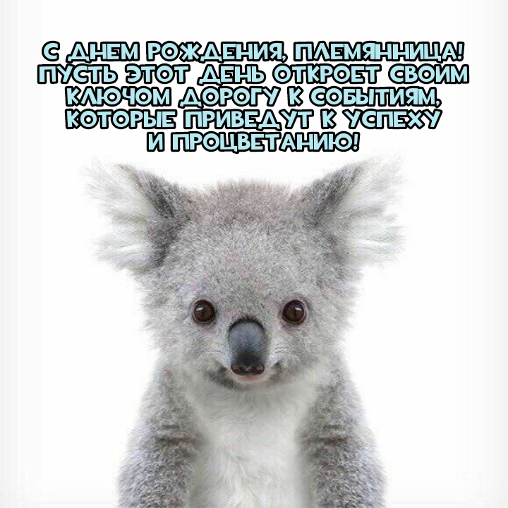 Племянница! Пусть этот день откроет своим ключом дорогу к событиям