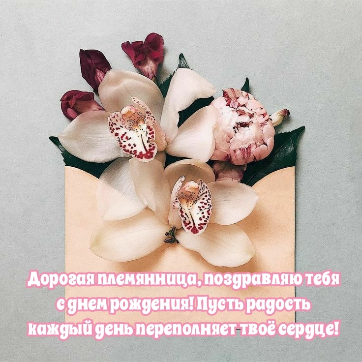 Дорогая племянница, поздравляю тебя с днем рождения!