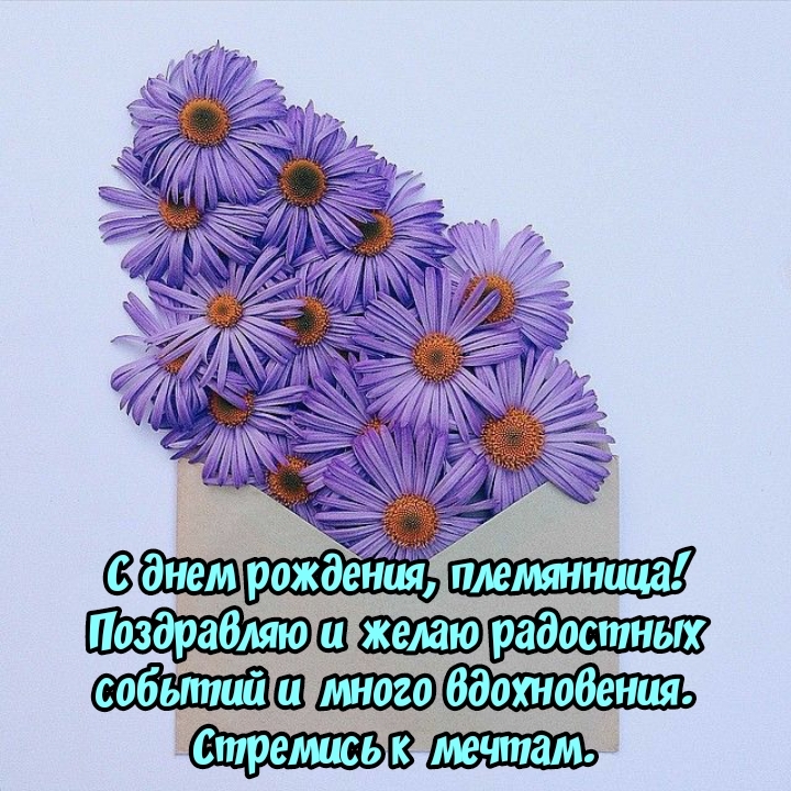 С днем рождения, племянница! Стремись к мечтам.
