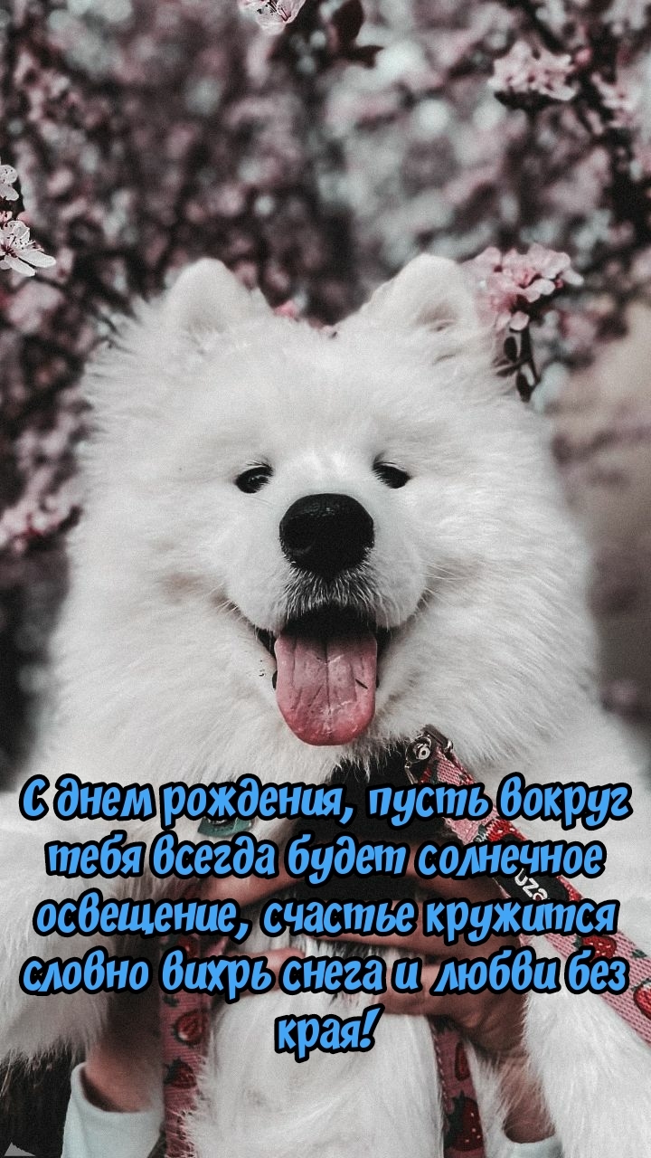 С днем рождения, пусть вокруг всегда будет солнечное освещение