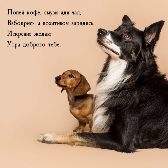 Попей кофе, смузи или чая, взбодрись и позитивом зарядись. 