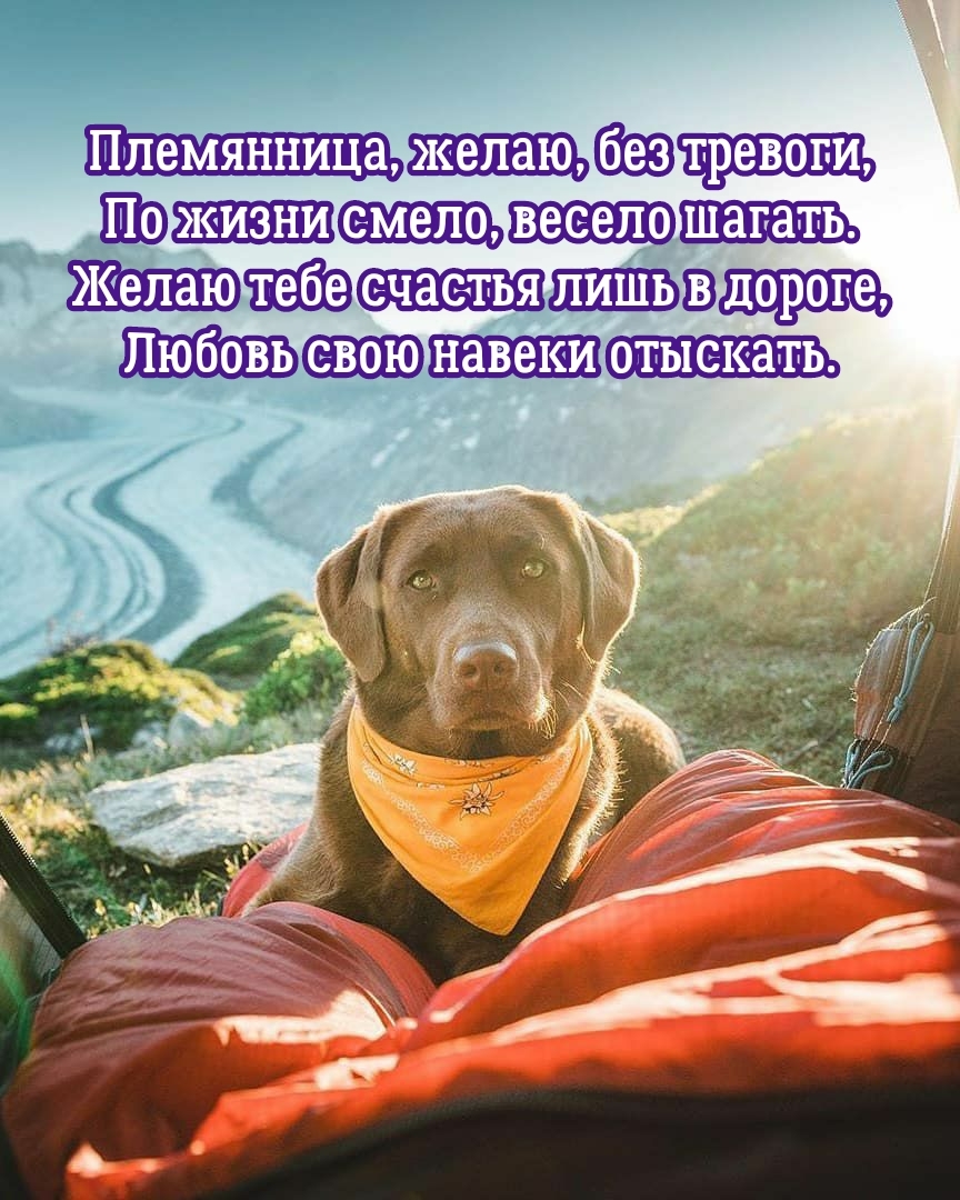 Племянница, желаю, без тревоги, по жизни смело, весело шагать.