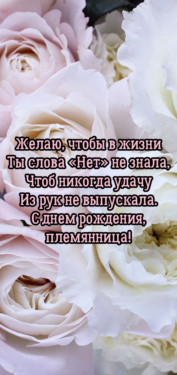 С днем рождения, племянница! Чтобы ты слова «Нет» не знала