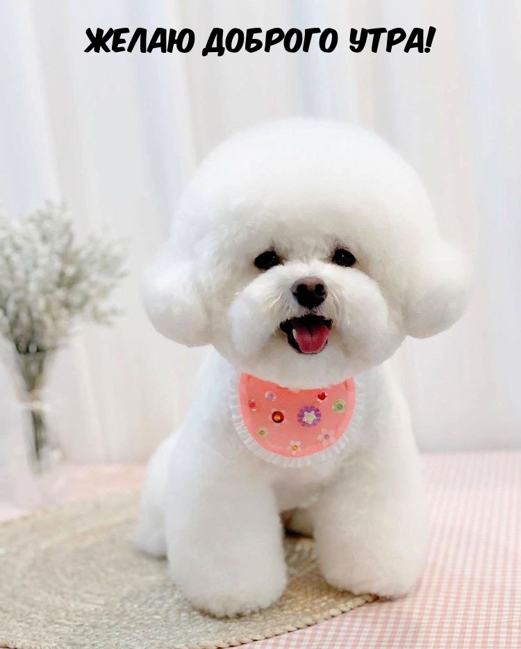 Желаю доброго утра!