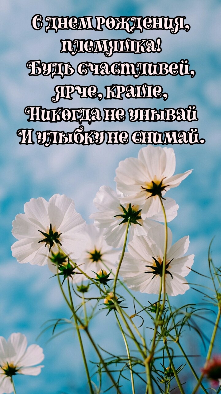 С днем рождения, племяшка! Будь счастливей, ярче, краше