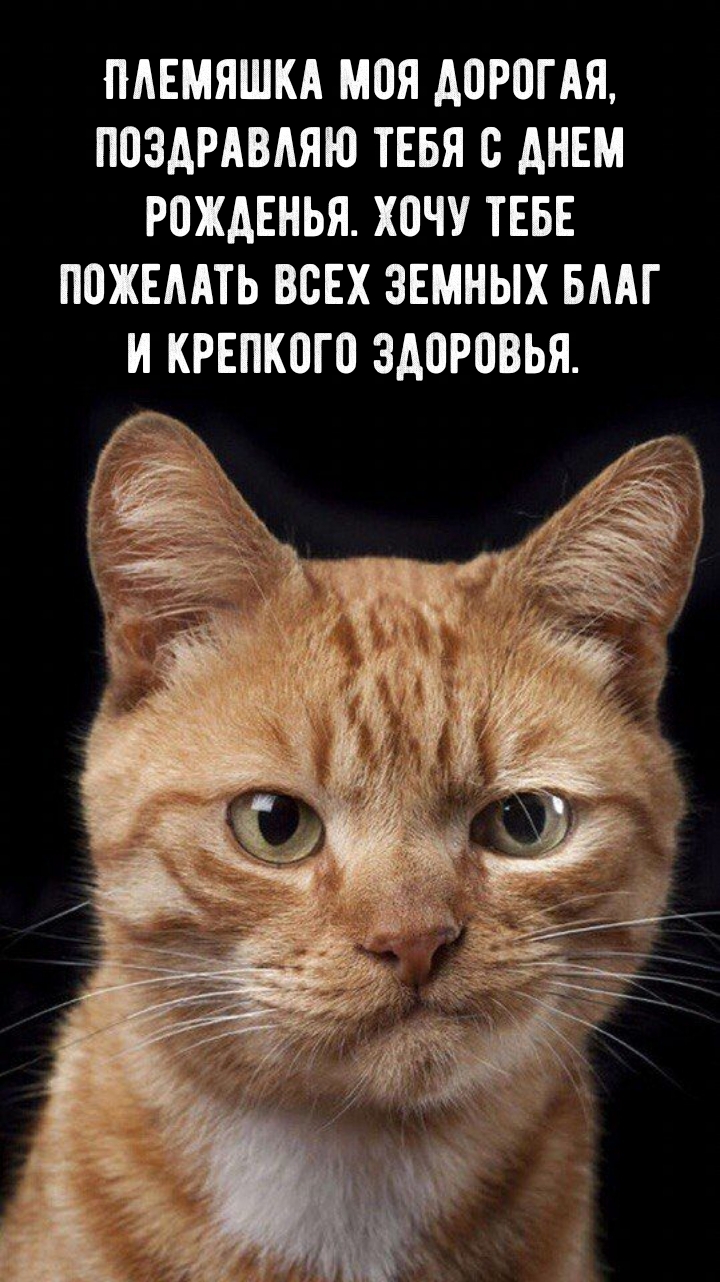 Племяшка моя дорогая, поздравляю тебя с днем рожденья. 