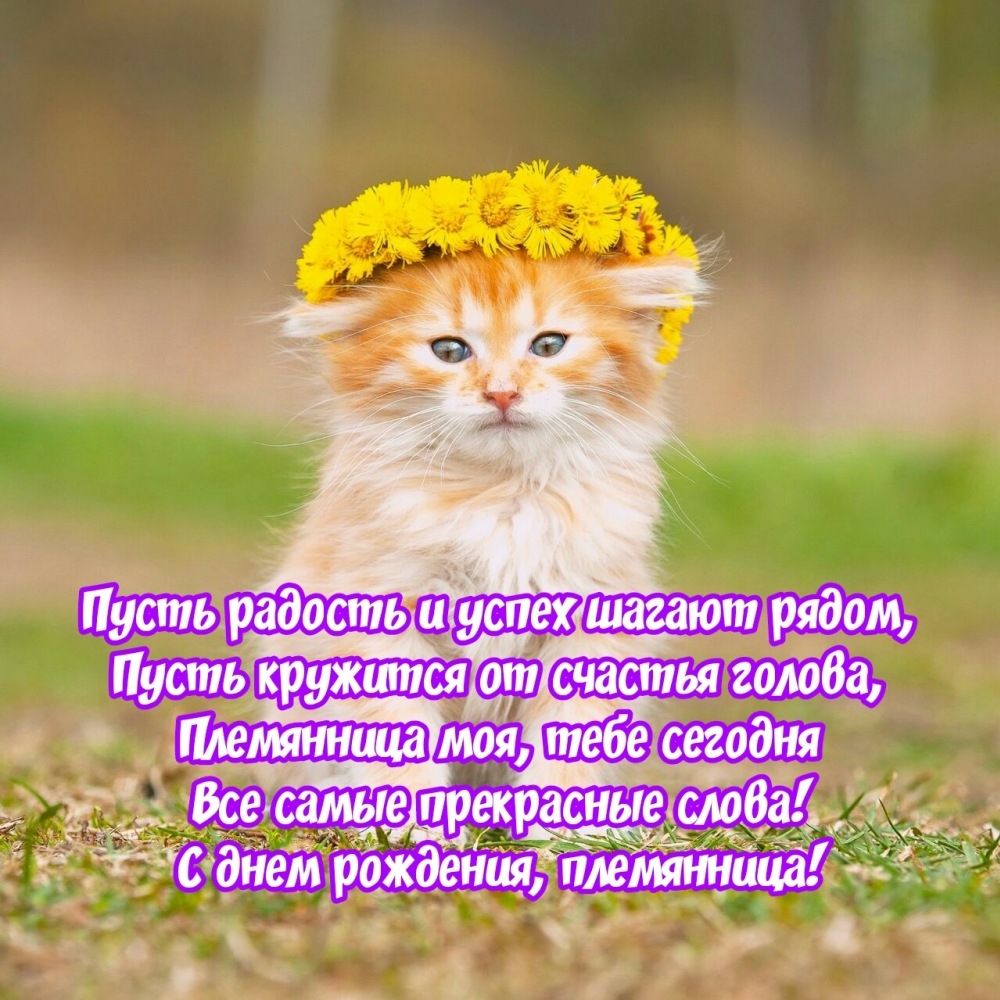 С днем рождения, племянница! Пусть радость и успех шагают рядом