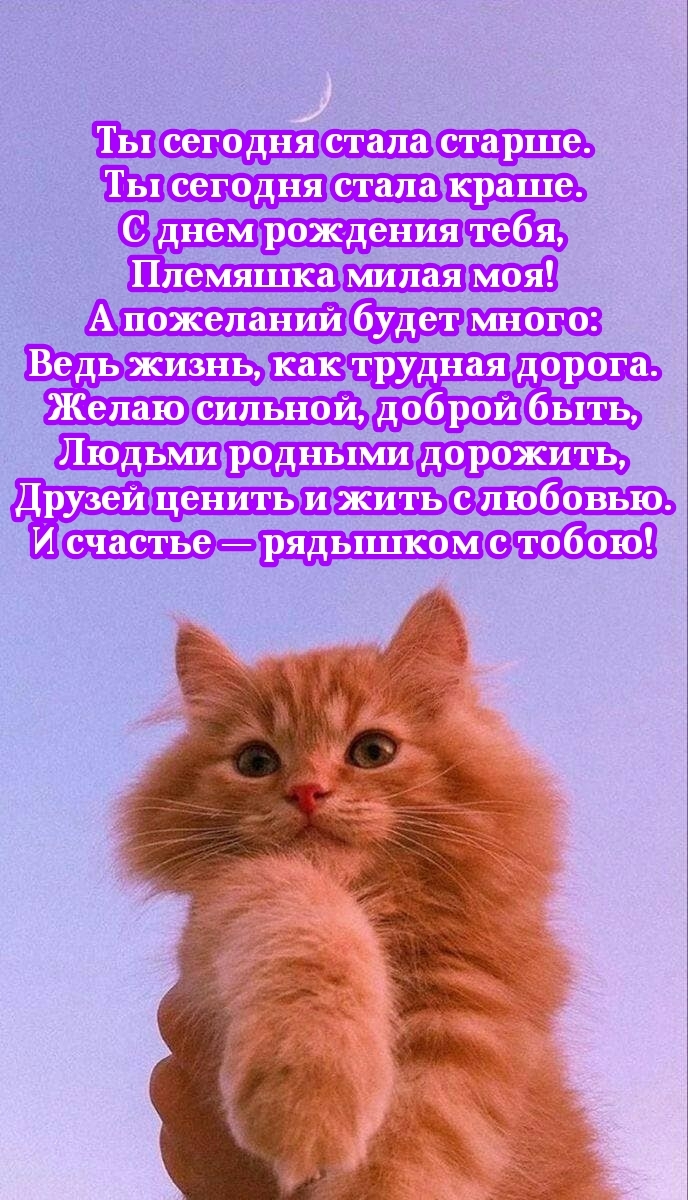 С днем рождения тебя, племяшка милая моя!