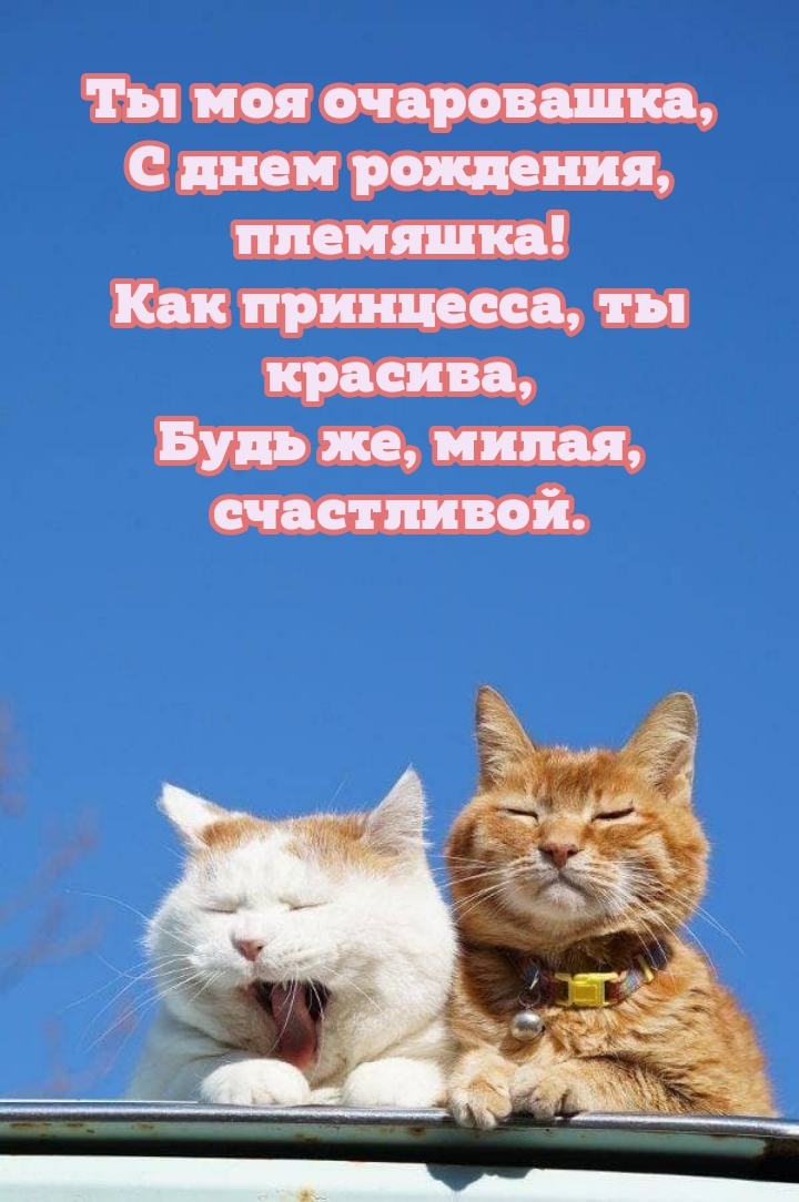 Ты моя очаровашка, с днем рождения, племяшка!