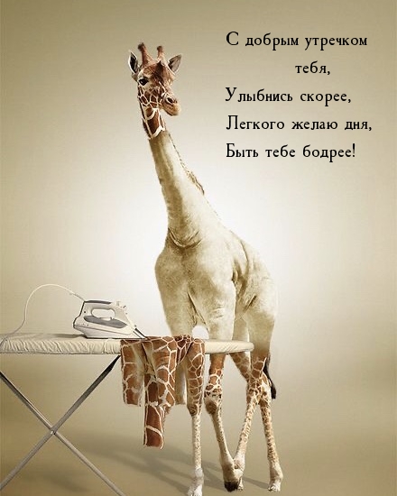 С добрым утречком тебя, улыбнись скорее, легкого желаю дня