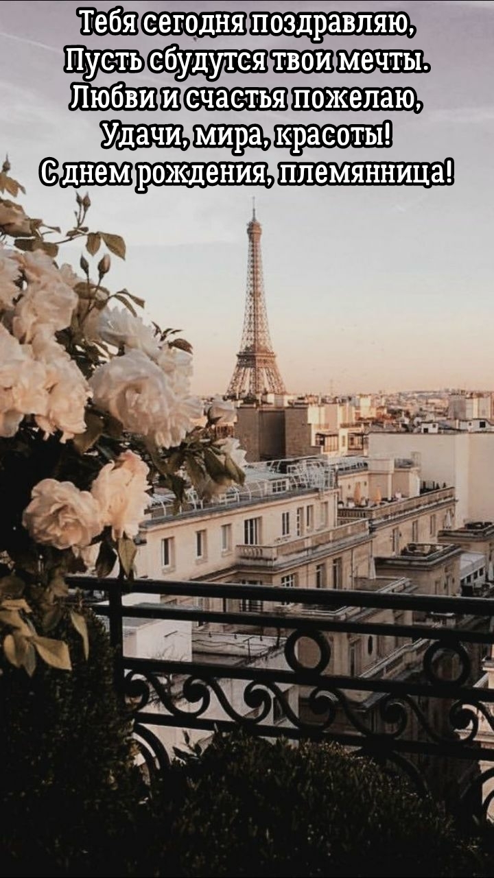 Удачи, мира, красоты! С днем рождения, племянница!