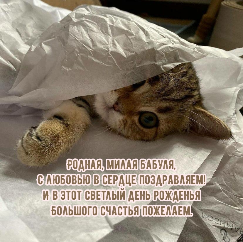 Родная, милая бабуля, с любовью в сердце поздравляем!