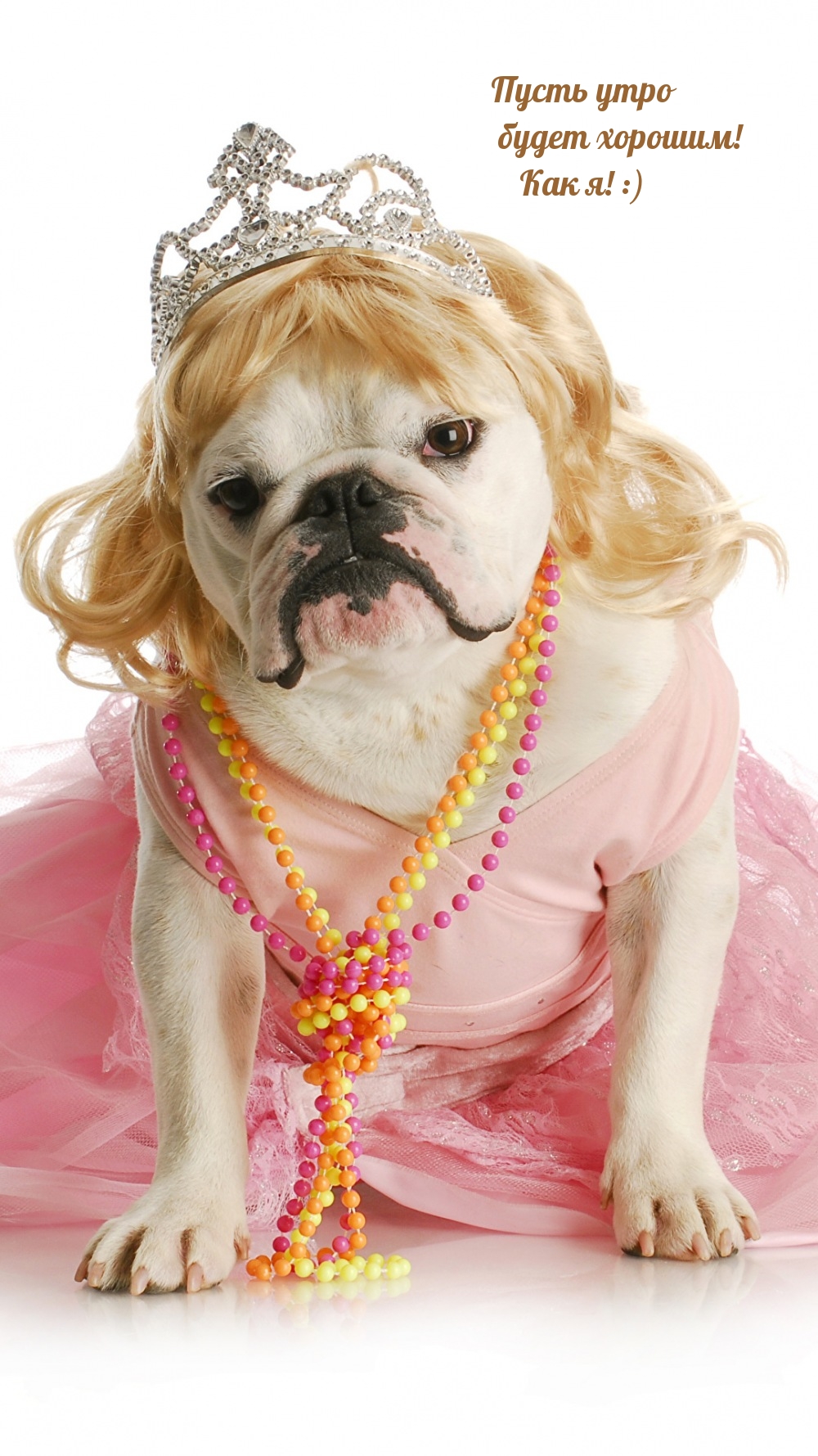 Пусть утро будет хорошим! Как я! :)