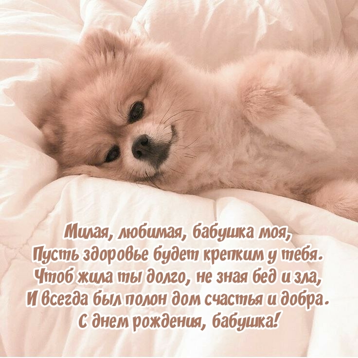 С днем рождения, бабушка! Пусть здоровье будет крепким у тебя.