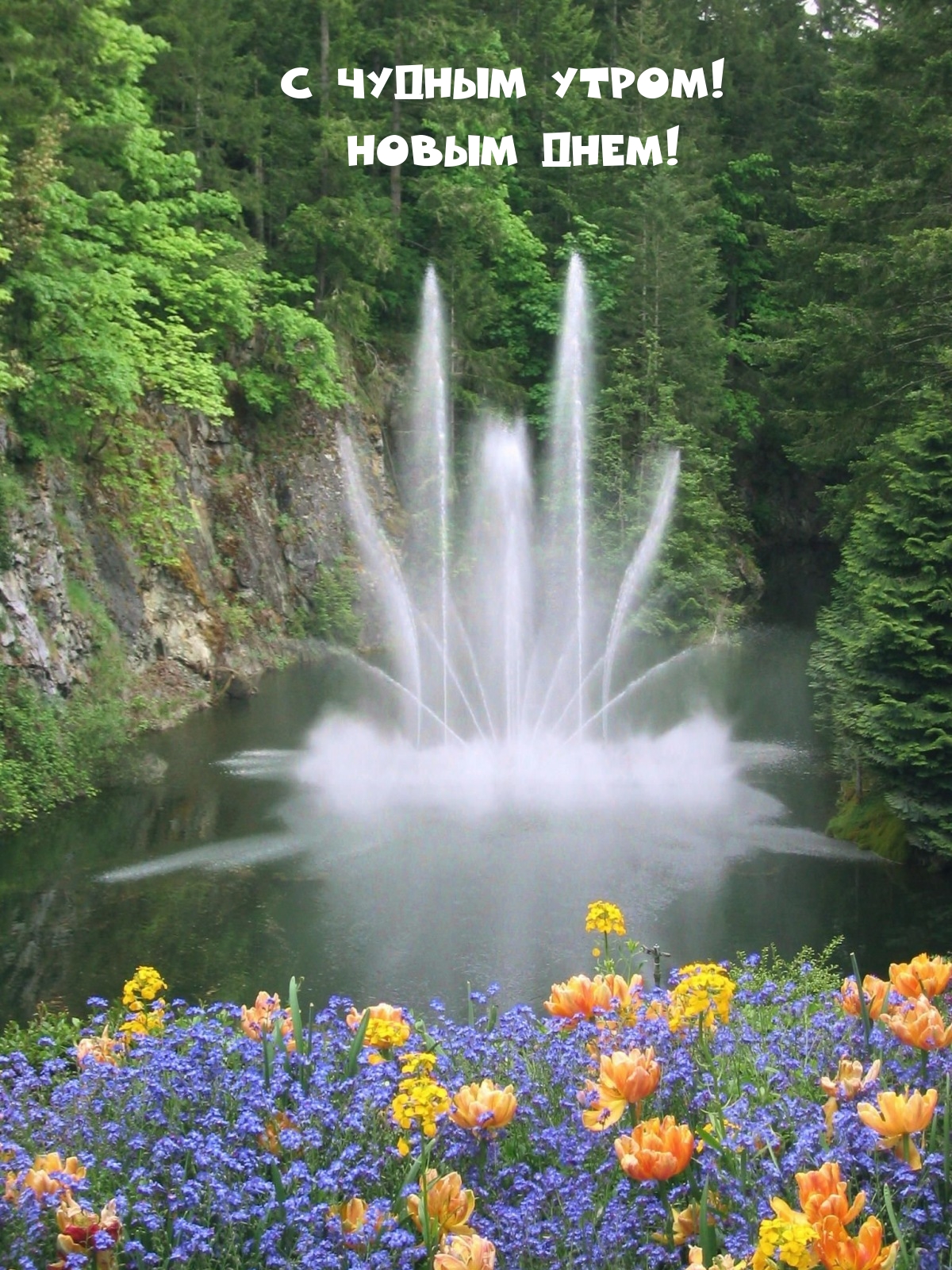 С чудным утром! Новым днем!