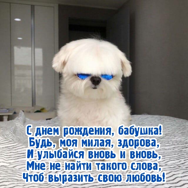 С днем рождения, бабушка! Будь, моя милая, здорова