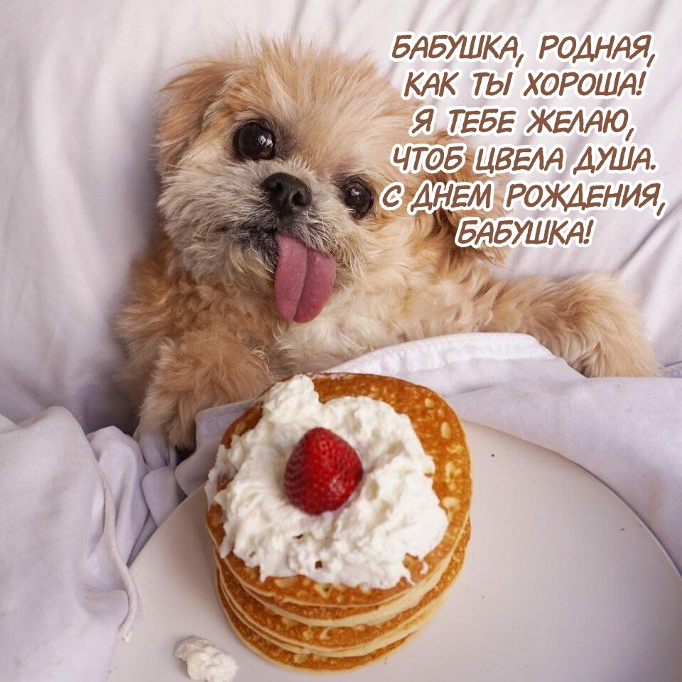 Бабушка, родная, как ты хороша! Я тебе желаю, чтоб цвела душа.