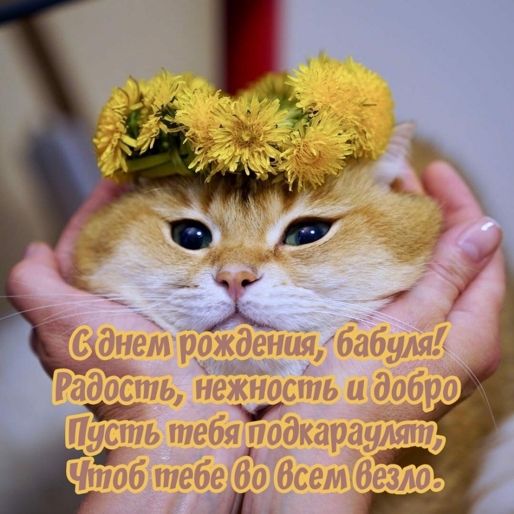 С днем рождения, бабуля! Чтоб тебе во всем везло.