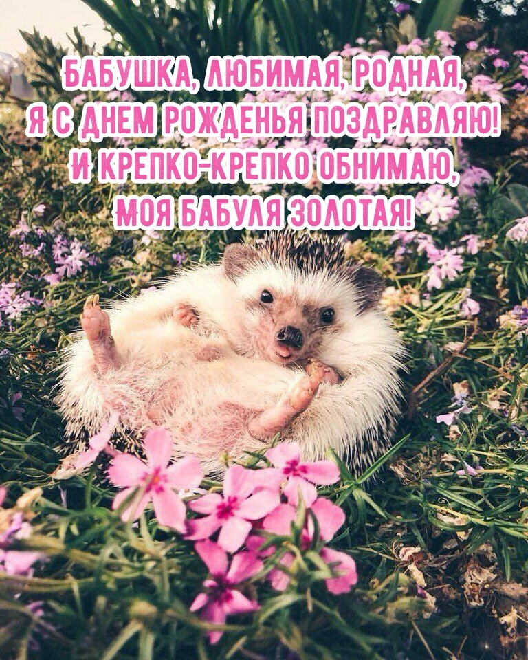Бабушка, любимая, родная, я с днем рожденья поздравляю!