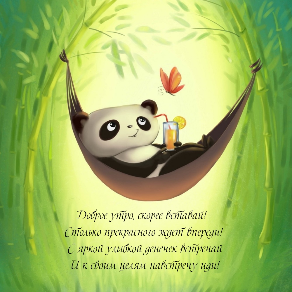 Доброе утро, скорее вставай! Столько прекрасного ждет впереди!