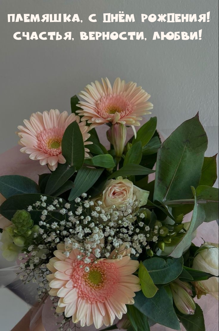 Племяшка, с днём рождения! Счастья, верности, любви! 