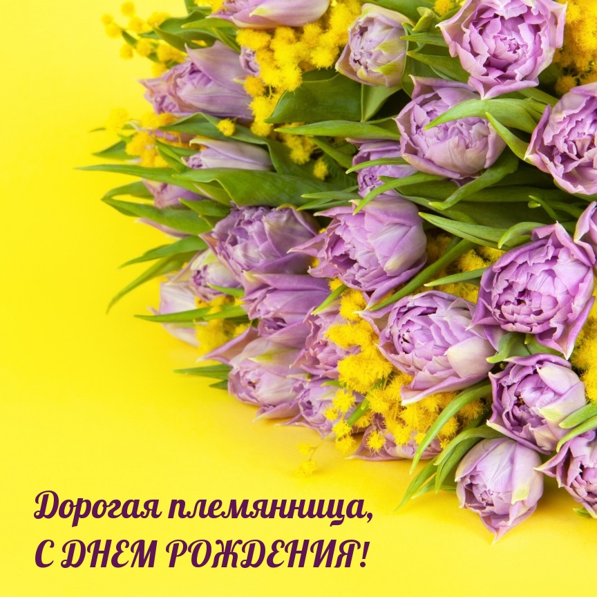 Дорогая племянница, с днем рождения!