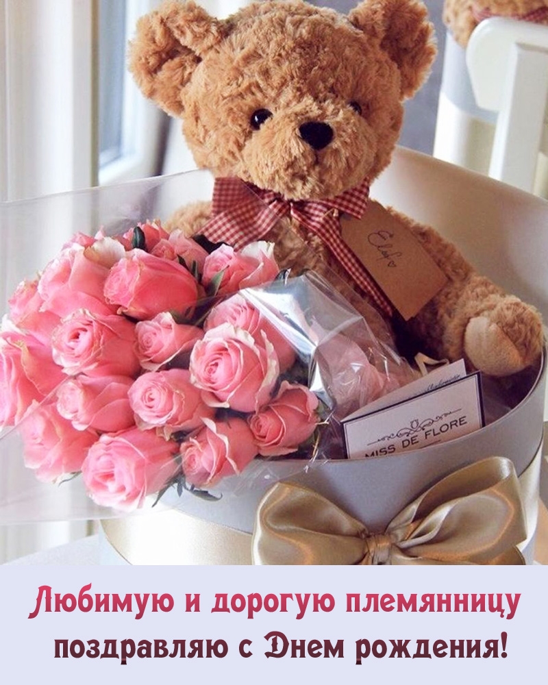Любимую и дорогую племянницу поздравляю с Днем рождения!