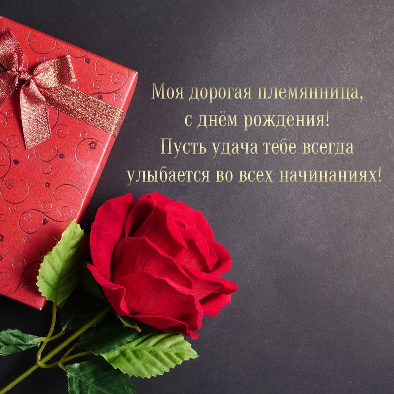 Моя дорогая племянница, с днём рождения! Пусть удача всегда улыбается