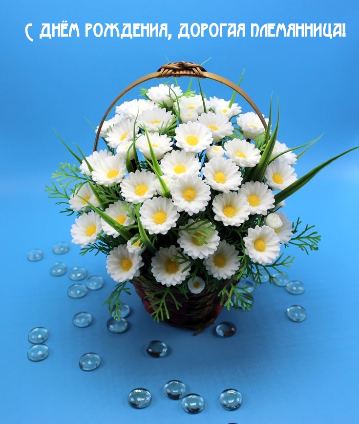 С днём рождения, дорогая племянница!