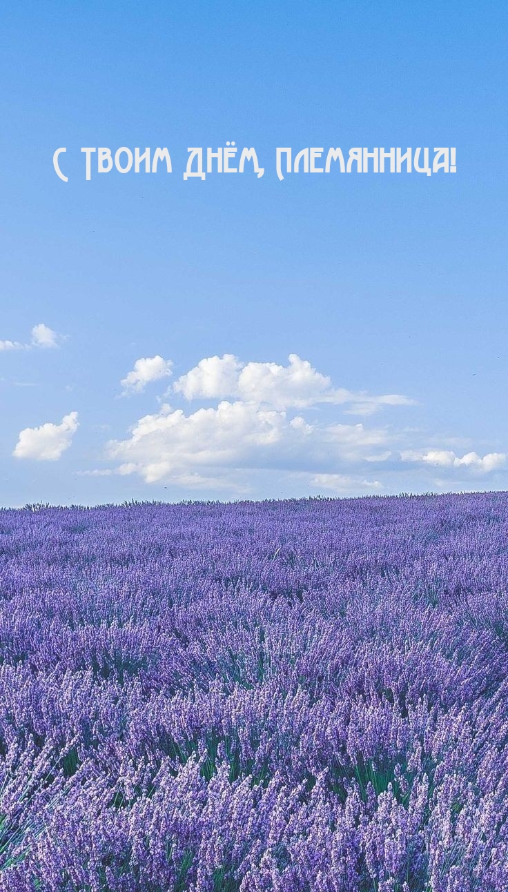 С Твоим Днём, Племянница!