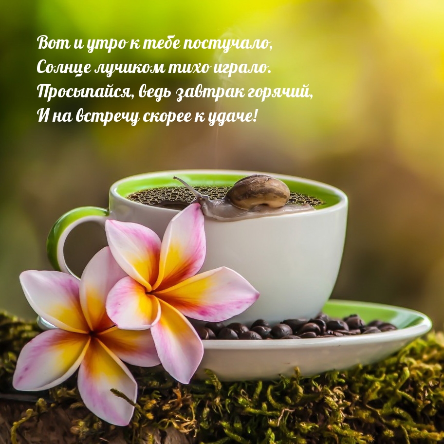 Вот и утро к тебе постучало, солнце лучиком тихо играло.