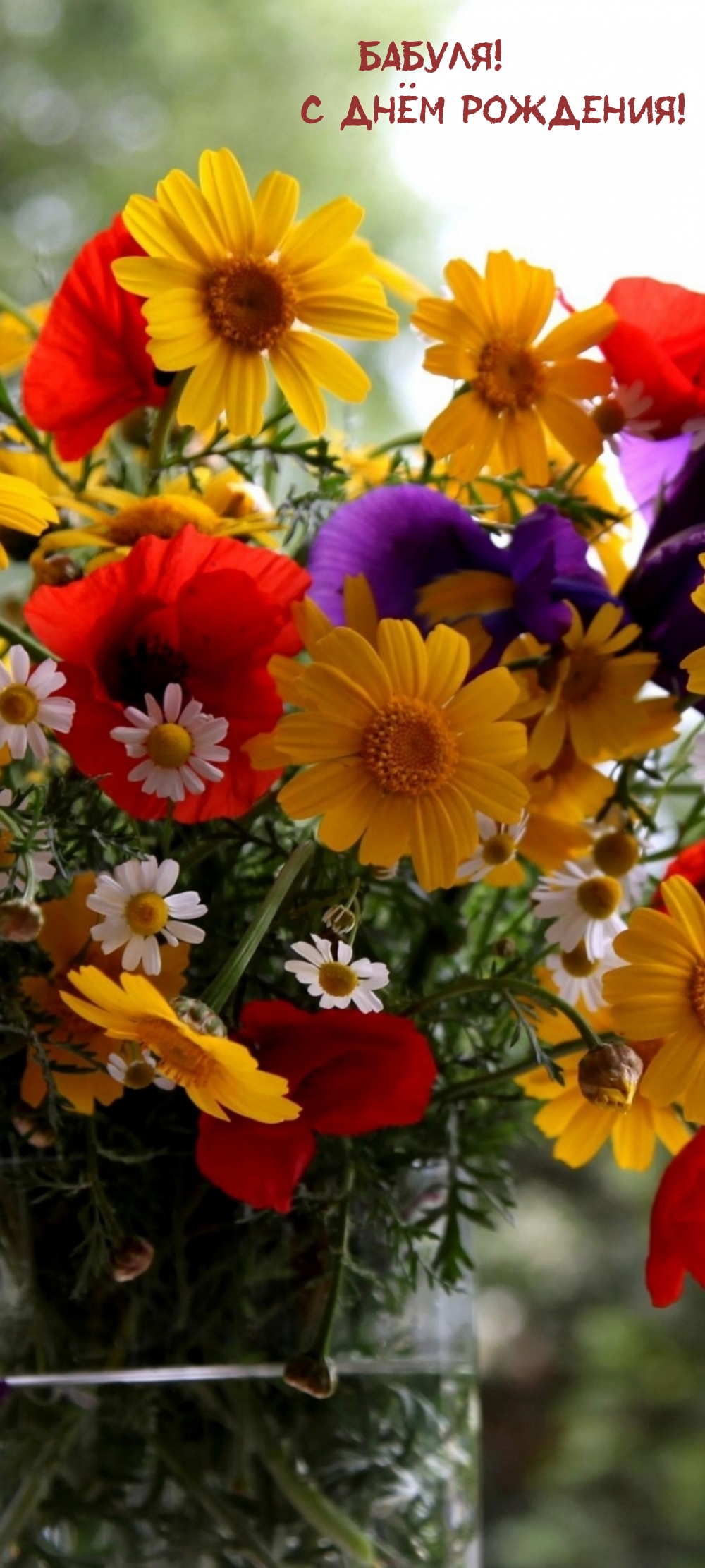 Бабуля! С днём рождения!