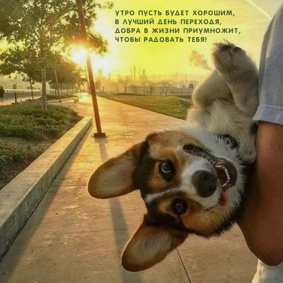 Утро пусть будет хорошим, в лучший день переходя 